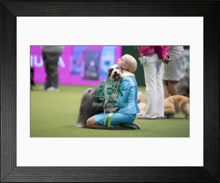 Framed Print : Crufts 2017