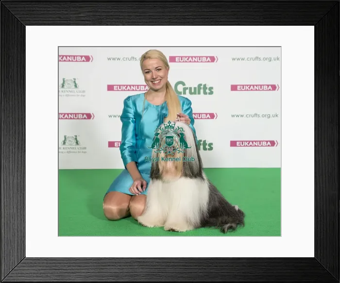 Framed Print : Crufts 2017
