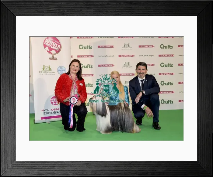 Framed Print : Crufts 2017 Framed Print : Crufts 2017