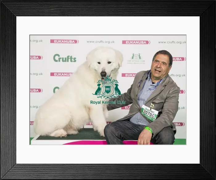 Framed Print : Crufts 2017 Framed Print : Crufts 2017