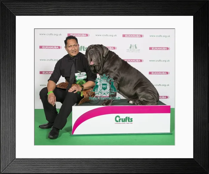 Framed Print : Crufts 2017 Framed Print : Crufts 2017