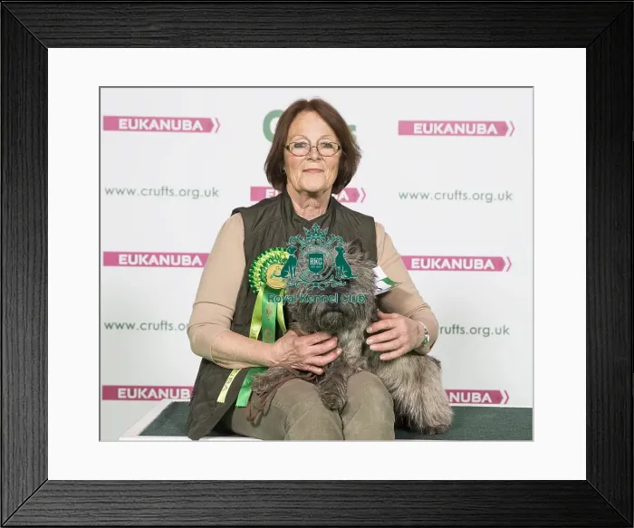 Framed Print : Crufts 2017 Framed Print : Crufts 2017