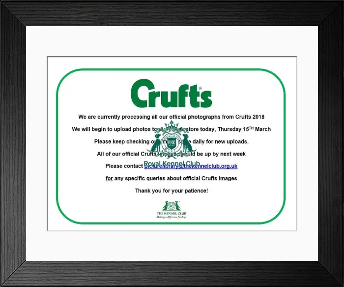  : Crufts 2018