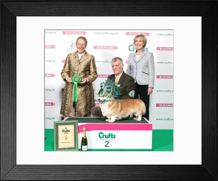 Framed Print : Crufts 2018 Framed Print : Crufts 2018