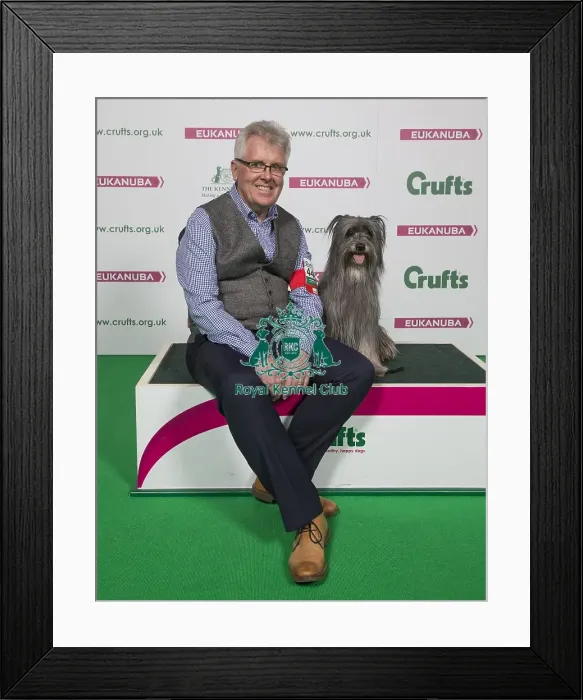 Framed Print : Crufts 2018 Framed Print : Crufts 2018