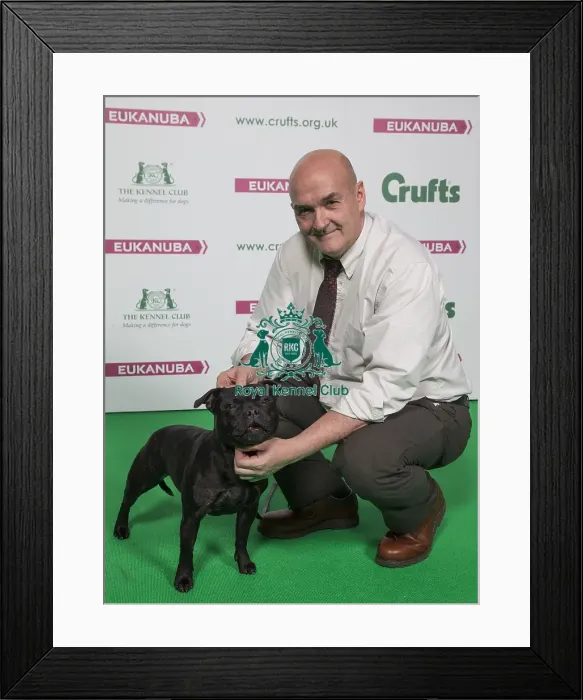 Framed Print : Crufts 2018 Framed Print : Crufts 2018