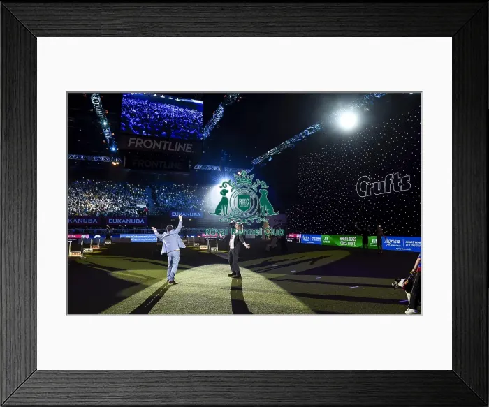 Framed Print : Crufts 2018 Framed Print : Crufts 2018
