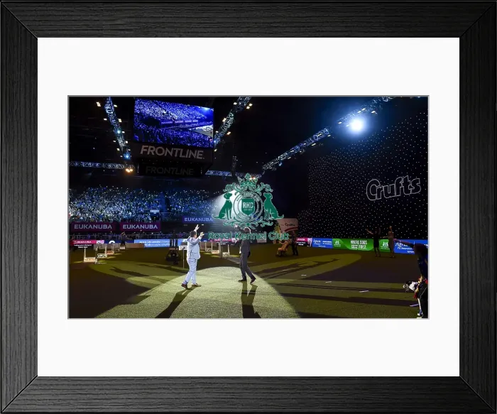 Framed Print : Crufts 2018