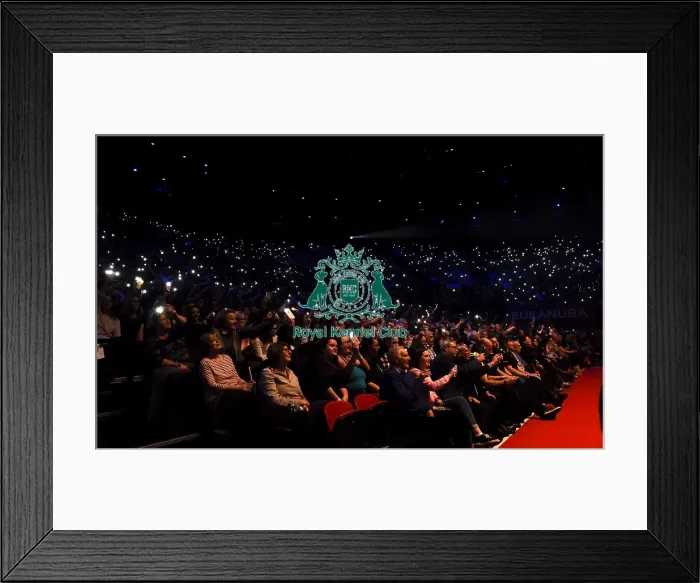 Framed Print : Crufts 2018 Framed Print : Crufts 2018