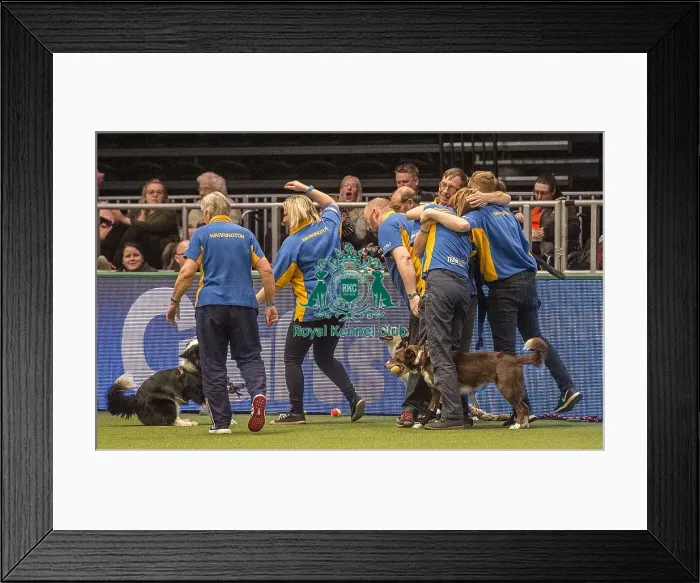 Framed Print : Crufts 2018 Framed Print : Crufts 2018