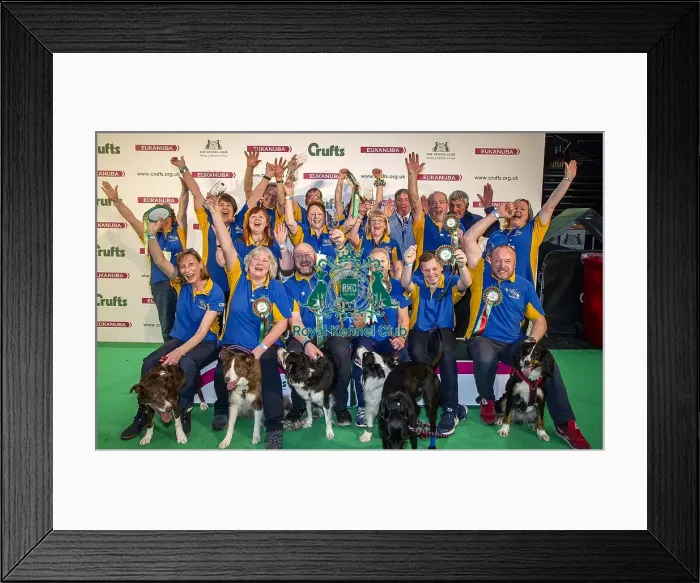 Framed Print : Crufts 2018 Framed Print : Crufts 2018