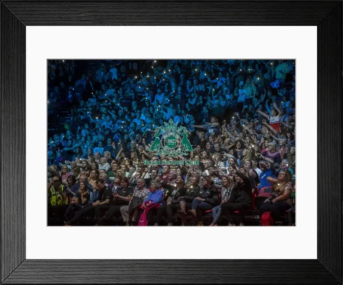 Framed Print : Crufts 2018 Framed Print : Crufts 2018