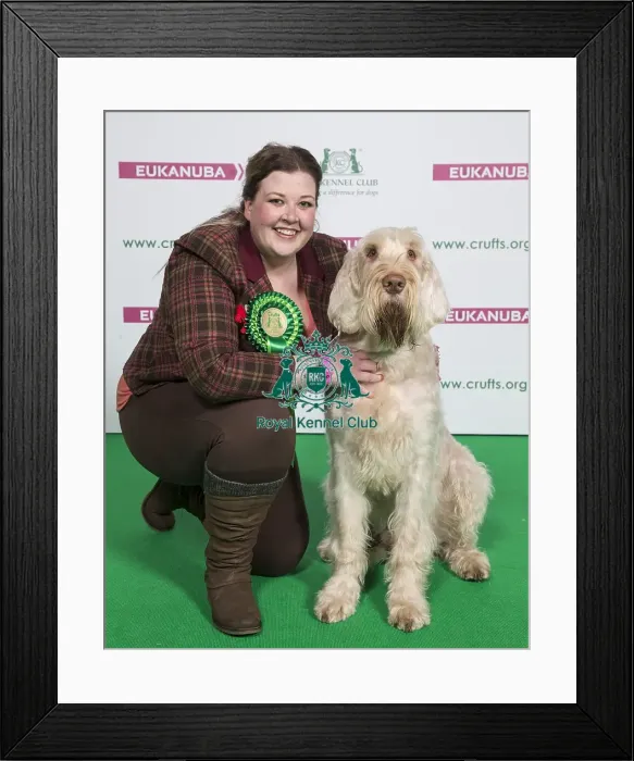 Framed Print : Crufts 2018 Framed Print : Crufts 2018