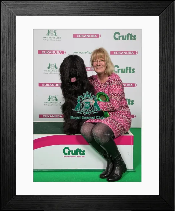 Framed Print : Crufts 2018 Framed Print : Crufts 2018