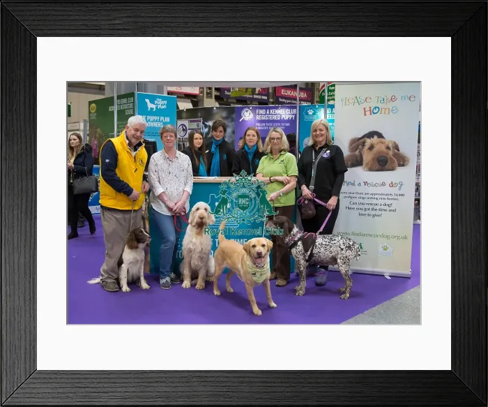 Framed Print : Kennel Club Breed Rescue Stand: Gundog Day Framed Print : Kennel Club Breed Rescue Stand: Gundog Day