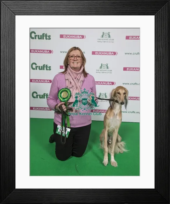 Framed Print : Crufts 2018 Framed Print : Crufts 2018