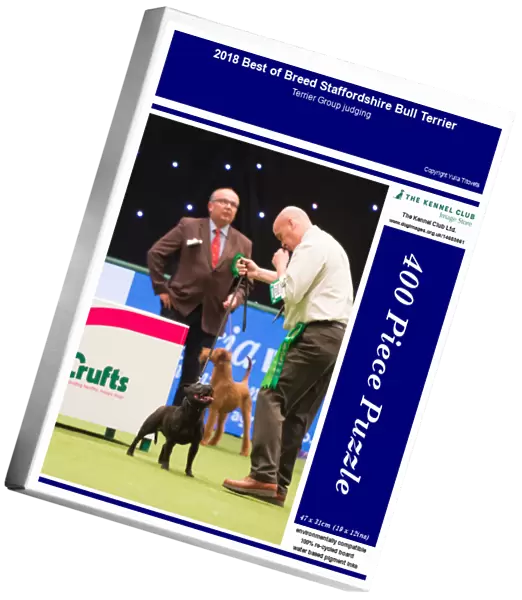 2018 Best of Breed Staffordshire Bull Terrier