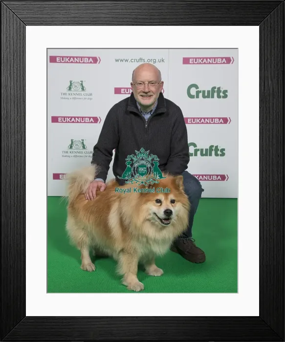 Framed Print : Crufts 2018 Framed Print : Crufts 2018