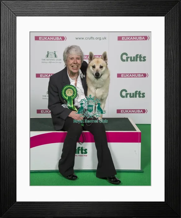 Framed Print : Crufts 2018 Framed Print : Crufts 2018
