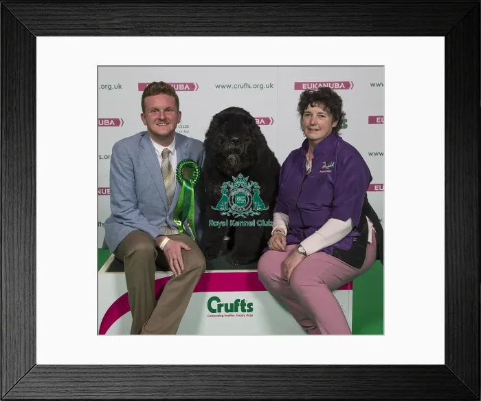Framed Print : Crufts 2018 Framed Print : Crufts 2018
