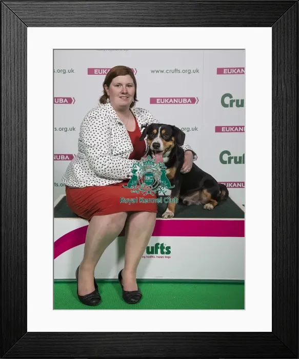 Framed Print : Crufts 2018 Framed Print : Crufts 2018