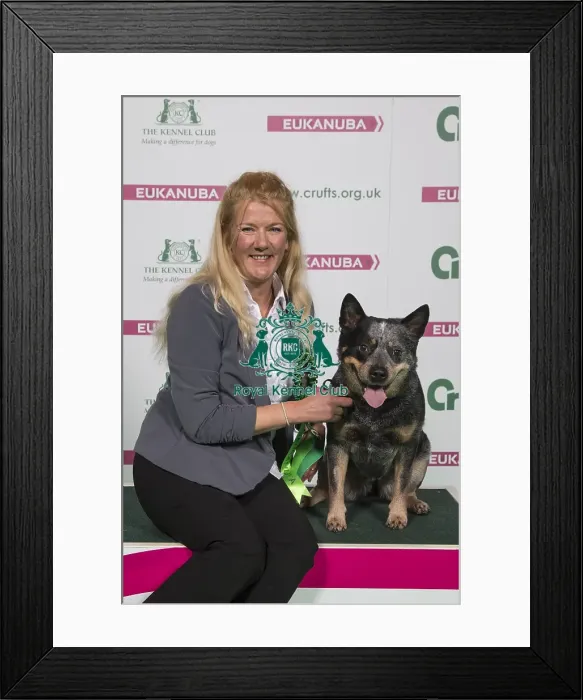Framed Print : Crufts 2018 Framed Print : Crufts 2018