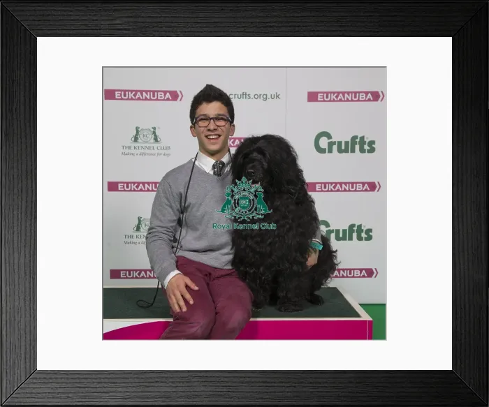 Framed Print : Crufts 2018 Framed Print : Crufts 2018