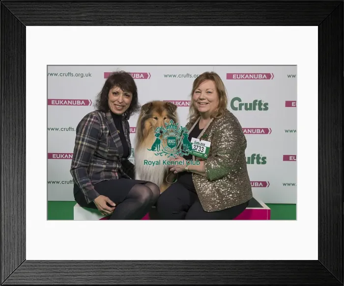 Framed Print : Crufts 2018 Framed Print : Crufts 2018