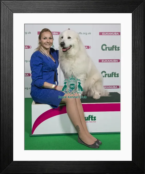 Framed Print : Crufts 2018 Framed Print : Crufts 2018
