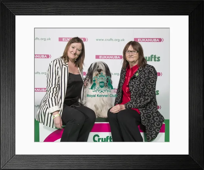 Framed Print : Crufts 2018 Framed Print : Crufts 2018