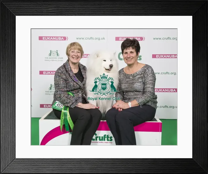 Framed Print : Crufts 2018 Framed Print : Crufts 2018