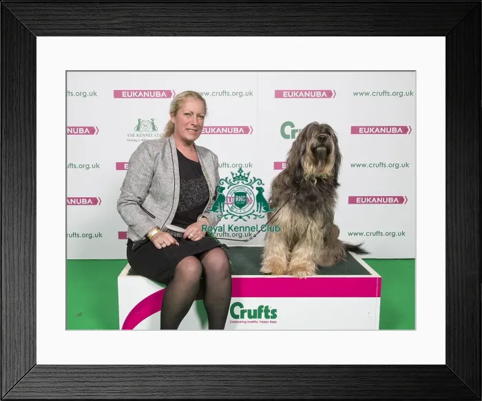 Framed Print : Crufts 2018 Framed Print : Crufts 2018