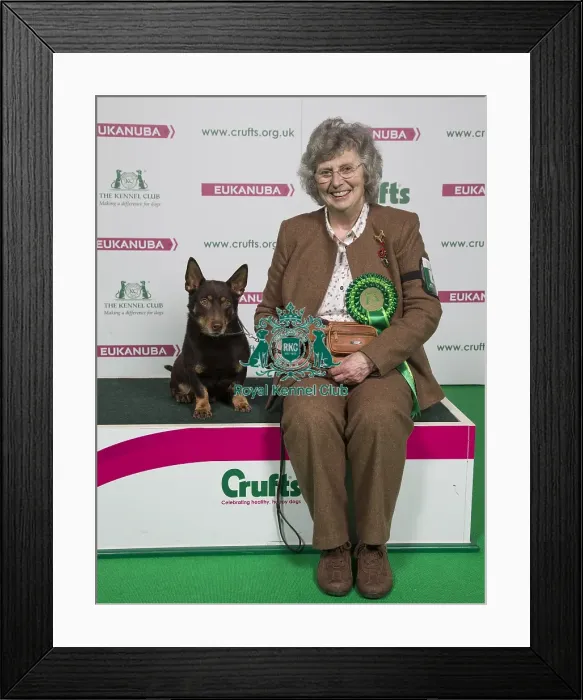 Framed Print : Crufts 2018 Framed Print : Crufts 2018