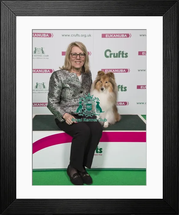 Framed Print : Crufts 2018 Framed Print : Crufts 2018