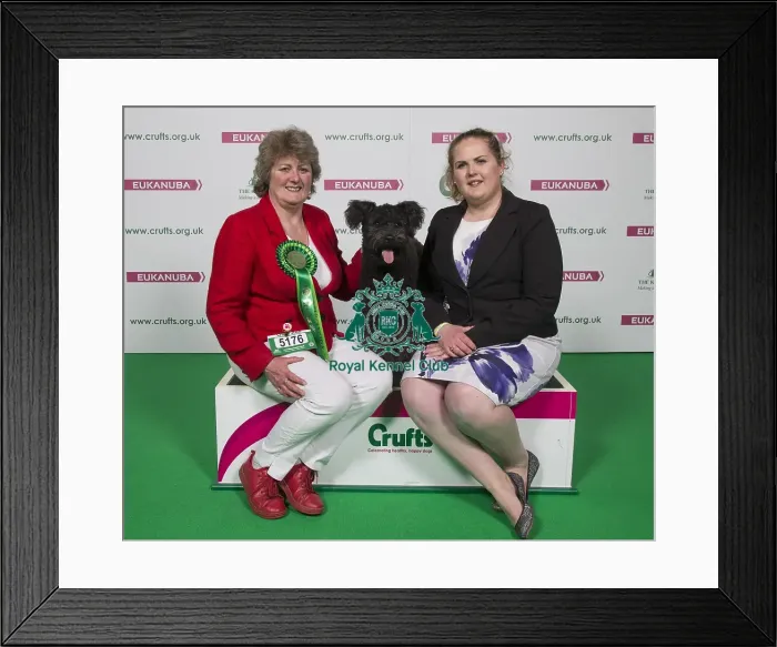 Framed Print : Crufts 2018 Framed Print : Crufts 2018