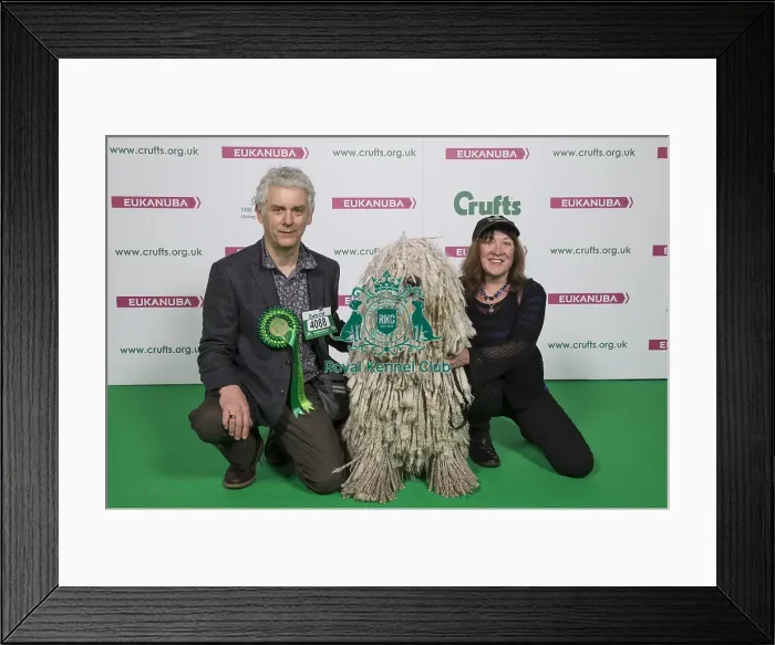 Framed Print : Crufts 2018