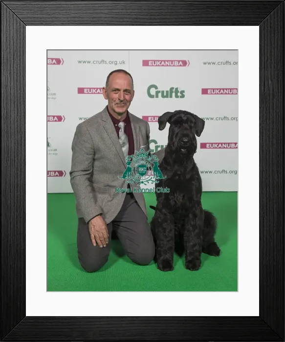 Framed Print : Crufts 2018