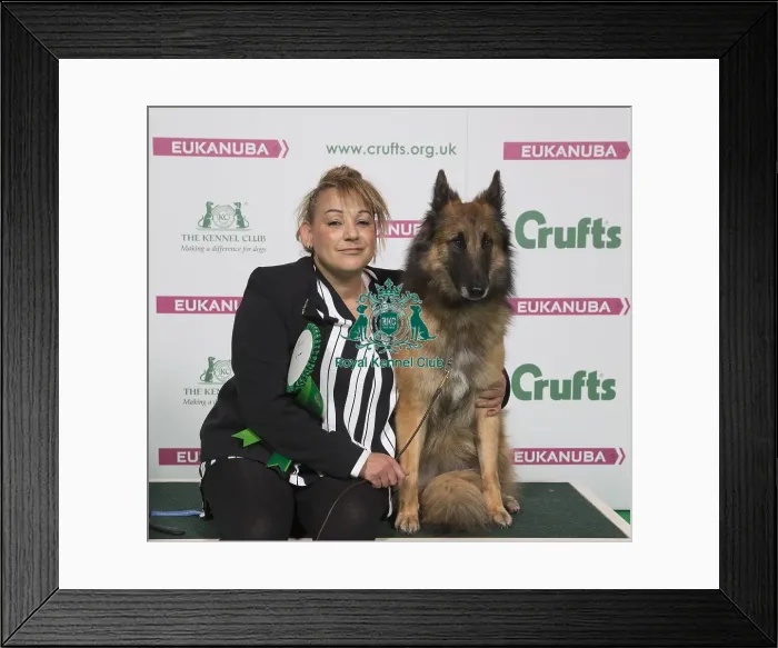 Framed Print : Crufts 2018 Framed Print : Crufts 2018