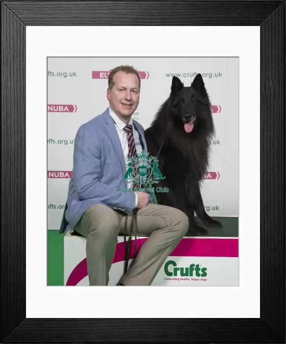Framed Print : Crufts 2018 Framed Print : Crufts 2018