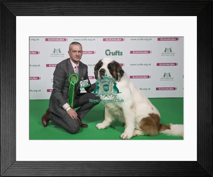 Framed Print : Crufts 2018 Framed Print : Crufts 2018