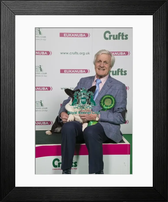 Framed Print : Crufts 2018 Framed Print : Crufts 2018