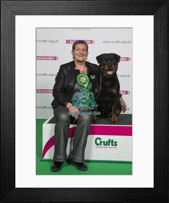 Framed Print : Crufts 2018 Framed Print : Crufts 2018