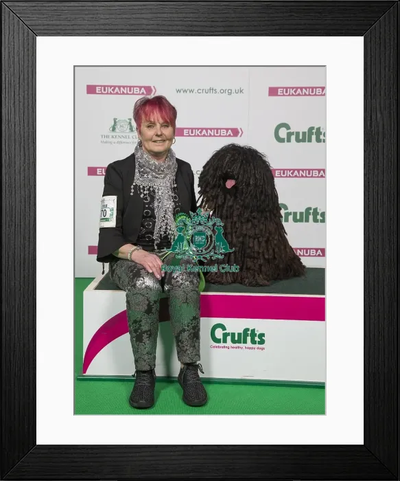 Framed Print : Crufts 2018