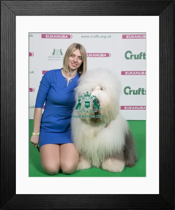 Framed Print : Crufts 2018