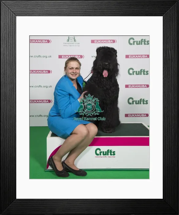 Framed Print : Crufts 2018 Framed Print : Crufts 2018