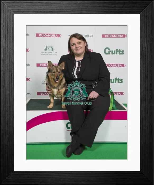 Framed Print : Crufts 2018 Framed Print : Crufts 2018