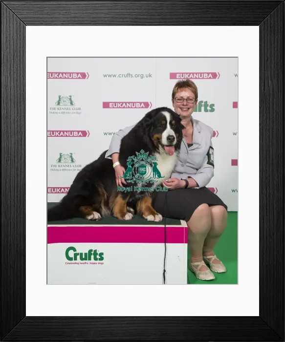 Framed Print : Crufts 2018 Framed Print : Crufts 2018