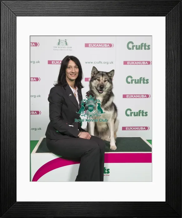 Framed Print : Crufts 2018 Framed Print : Crufts 2018
