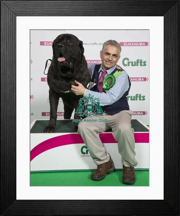 Framed Print : Crufts 2018 Framed Print : Crufts 2018