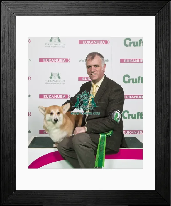 Framed Print : Crufts 2018 Framed Print : Crufts 2018